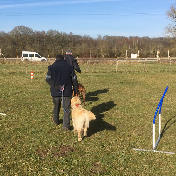 club canin loir et chier