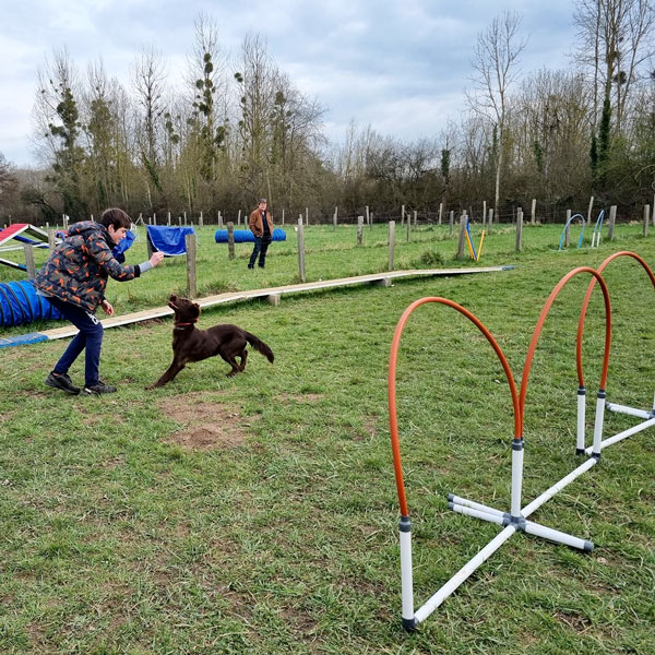 entraînement agility