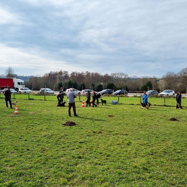 club canin loir et chier