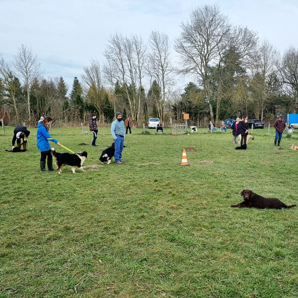 travailler chien en Loir et Cher